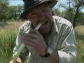 Survival Man: In der Steppe Afrikas 2
