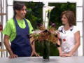 Paint Your Life 8: Ep 3 - Fiori fuori dal vaso