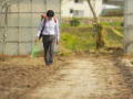 Rebuilding Japan: Damaged Soil