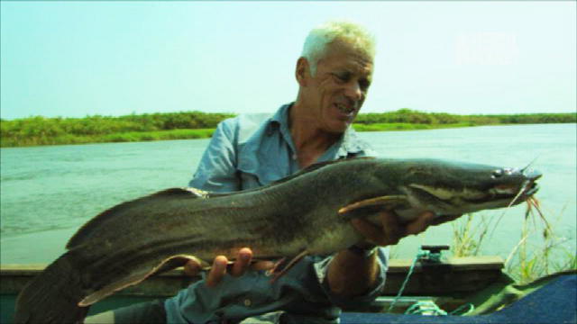 Amur river monster