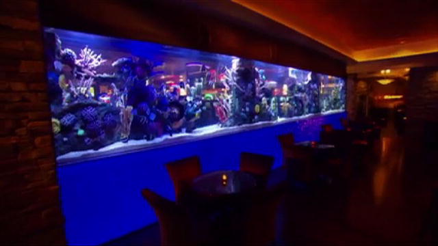fish tank hacked casino