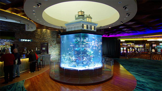 ocean casino fish tank