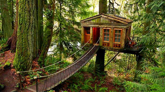 Treehouse Masters Spa 137426473217714121800701197_ 