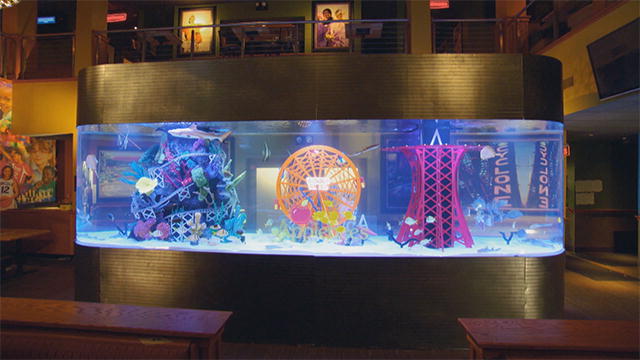tanked ocean resort casino aquarium