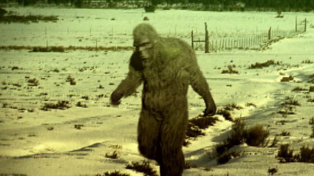 Four Separate States, Four Times the Possibilities | Finding Bigfoot Four Separate States, Four Times the Possibilities | Finding Bigfoot