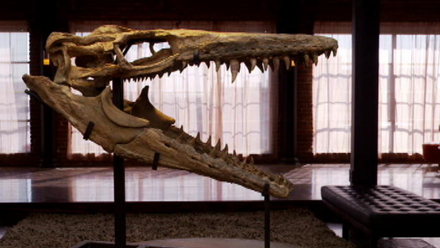 t rex of the ocean