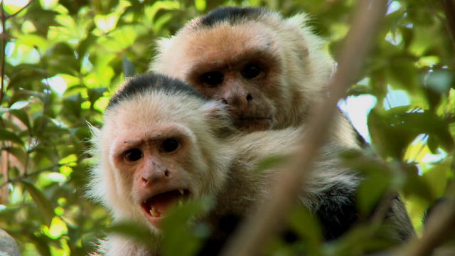 137182891405814096800801197_104DeadlySna