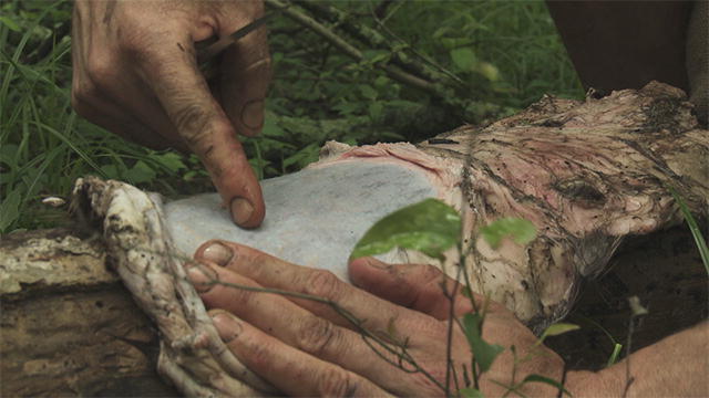 137486104491114107801301197_LoinCloth.jp