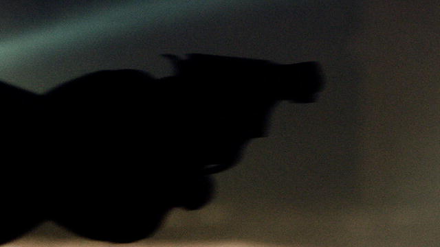 Investigation: Family Gun Fight