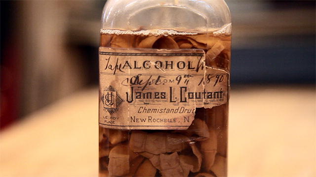 Science: Tapeworm in a Jar