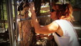 You Watch. We Give.: Pit Bulls & Parolees ROAR Event
