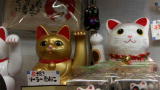 Must Love Cats: The Legend of Maneki Neko