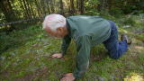 Mutual of Omaha's Wild Kingdom: Black Bear Scent-Marking