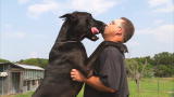 Animal Planet Promos: Large and In Charge Saturday Night