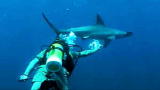 APL Top 25 of All Time: The Crocodile Hunter, Whale Sharks of the Wild West