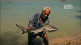 play video on Animal Planet