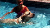 It's Me or the Dog: Pool Party Crasher