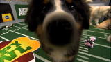 Puppy Bowl: Game Day Revisited: Puppy Bowl IV: Puppy Politics and Poof Poof Pups
