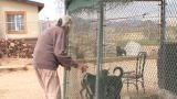 Confessions: Animal Hoarding: Bobbie
