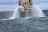 Whale Wars: Witness to a Whale's Death