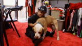 Pit Boss: Meet Shorty