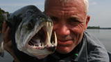 River Monsters: Vampire Piranha?