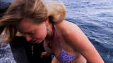 Whale Wars: The Penguin Swim!