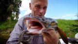 River Monsters: Catching a Bullseye Snakehead
