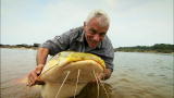 River Monsters: Massive Red-Tailed Catfish
