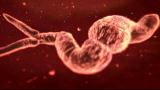 Monsters Inside Me: Parasites Nest In Brain