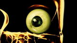 Monsters Inside Me: Parasites Invade Eyeball