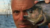River Monsters: Swimming With Piranhas