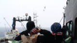 Whale Wars: Butyric Acid (Stink Bombs)