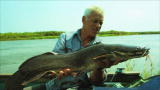 River Monsters: Carnivorous Sharp-Toothed Catfish