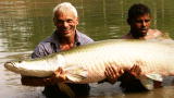 APL Top 25 of All Time: River Monsters, Amazon Assassins