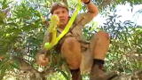 APL Top 25 of All Time: The Crocodile Hunter, Africa's Deadliest Snakes