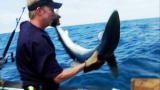 Madman of the Sea: Shark Hauled In by Hand