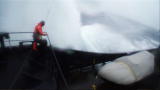 Whale Wars: Is It Difficult to Film Whale Wars?