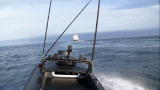 Whale Wars: Charging the Factory Ship