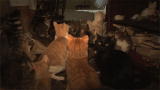 Confessions: Animal Hoarding: Marie