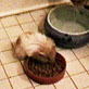 Planet's Funniest Animals: Hamster Cats
