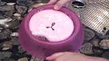 The Daily Treat: Sasquatch vs. The Drink Better Bowl