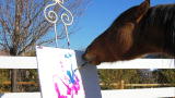 Most Outrageous: Picasso Horse
