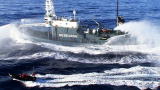 Whale Wars: Attacked by Mystery Weapon