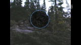 Finding Bigfoot :Bigfoot Video a Hoax?