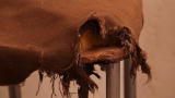 It's Me or the Dog: Destructive Dinner Dates