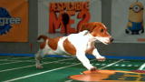 Puppy Bowl IX: Starting Lineup