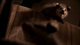 Infested!: Opossums Infest Student's Home