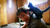 Must Love Cats: 5. Cat House on the Kings