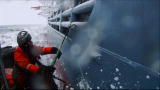 The Making of Whale Wars: The Idea
